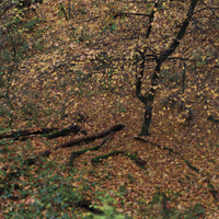 Fallende Strukturen